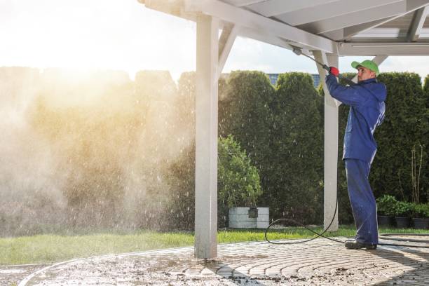 Animal Enclosure Cleaning in Milton, NY